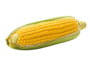 Vibrant Yellow Corn on the Cob Perfect for Recipes and Designs isolated on transparent background