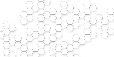 business concept abstract hexagon white abstract background with various arranging modern white hexagon patterns.