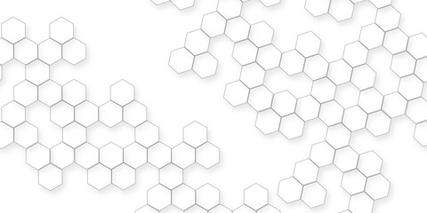 business concept abstract hexagon white abstract background with various arranging modern white hexagon patterns.