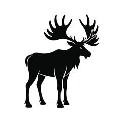 Black Silhouette of a Large Moose with Wide Antlers Standing animal wildlife