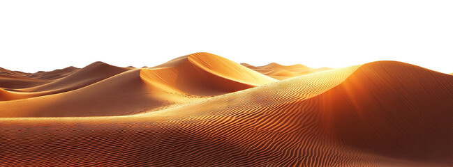 Golden desert sand dunes at sunset, isolated on transparent cutout background