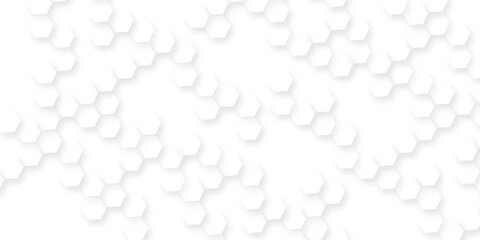 white abstract background with various hexagon patterns, Modern white abstract background with smooth soft curves, minimal geometric shapes, clean light texture, elegant futuristic pattern.