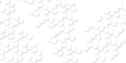 Modern white abstract background with smooth soft curves, minimal geometric shapes, clean light texture, elegant futuristic pattern, modern geometric white background with various geometric hexagon.