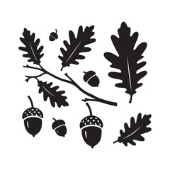 acorns and oak leaves vector silhouette line art logo design concept  illustration © MdSajib