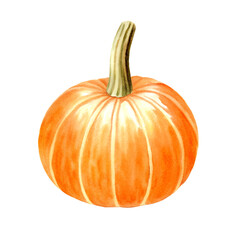 Watercolor hand drawn autumn illustration of an orange pumpkin. Harvest vegetable isolated. Perfect for fall design, Thanksgiving decor, Hallowen decor, seasonal invitations, and botanical prints
