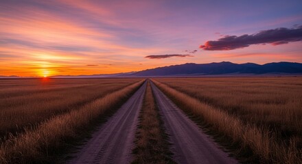 Golden Hour Dirt Road Through Vast Farmland