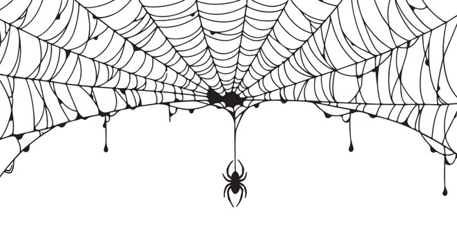 Creepy spider web isolated on white background with hanging spiders and dripping goo, perfect for halloween decorations and spooky designs