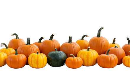 A diverse collection of colorful pumpkins and gourds arranged in a festive autumn display against a black background