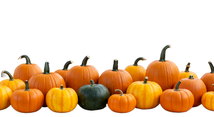 A diverse collection of colorful pumpkins and gourds arranged in a festive autumn display against a black background