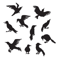 Black silhouettes of 10 different ravens on a white background - Vector illustration