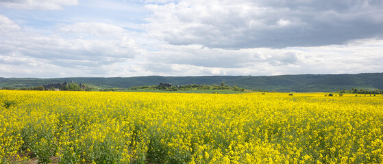 View of the landscape around the devil's wall rock formation in the Harz Mountains in Germany.