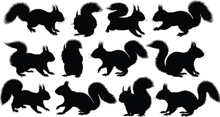 Silhouette of squirrels in different poses, wildlife animal illustration, woodland creature vector, black squirrel shadow, nature forest art design, isolated © Hey There