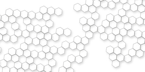 abstract modern and business concept White Hexagonal Background Luxury White Patterns, Hexagon background for networking, technology, business and science related works.