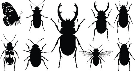 Insect silhouettes, beetles, flies, bugs, mosquito vector, black insects, entomology design, pest illustration, white background, flying insect shapes