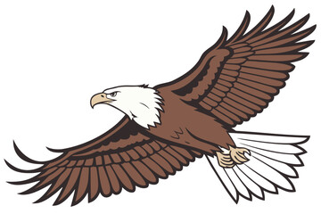 Obraz premium Bald eagle in flight