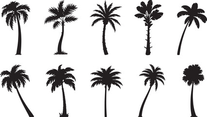 Fototapeta premium A collection of various black palm tree silhouettes isolated on a transparent background.