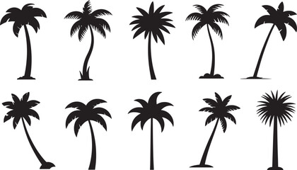 Fototapeta premium A collection of various black palm tree silhouettes isolated on a transparent background.