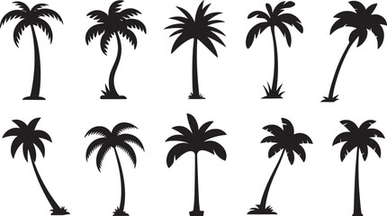 Obraz premium A collection of various black palm tree silhouettes isolated on a transparent background.