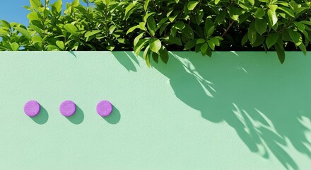 Modern minimalist design with vibrant colors, shadows, and nature elements for creative projects