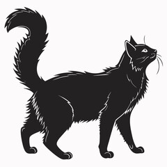black cat vector illustration