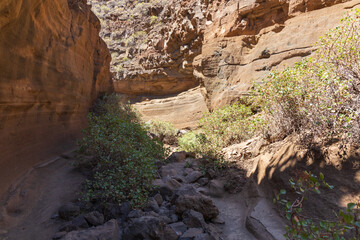 Barranco De Las Vacas slot canyon - Gran Canaria Spain