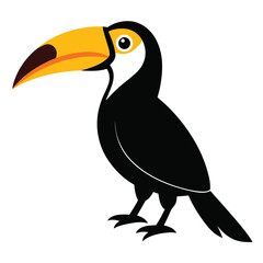 Cartoon Toucan Bird With Large Yellow Beak On White Background animal wildlife
