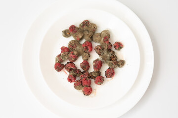 Top view of spoiled raspberries covered in mold on a white round plate.