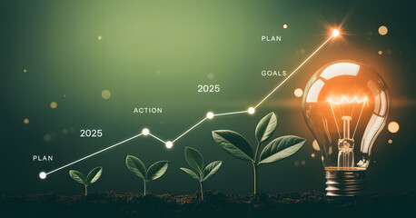 Illuminating the Path to Growth: An innovative visualization showcases a bright light bulb, symbolizing ideas, innovation, and growth, and growing plans from small plan until reach big achievement.