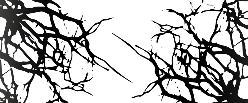  leafless tree isolated on white pnj design black 