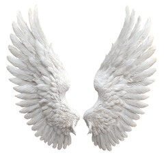 Obraz premium 3D representation of white angel wings, isolated on transparent background