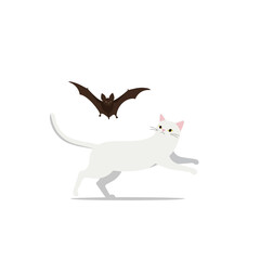 White Cat Chasing Brown Bat in Flight.