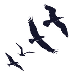 Four Dark Silhouettes of Seagulls Flying in Formation on White Background bird flight