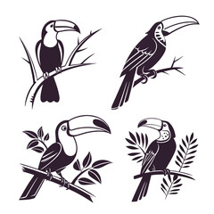 Four Stylized Toucans Perched on Branches in Silhouette bird