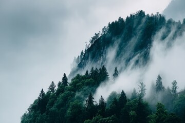 Dense fog envelops green mountains at dawn creating a mysterious landscape in a tranquil natural setting