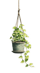 Hanging potted plant with green leaves in a decorative pot.