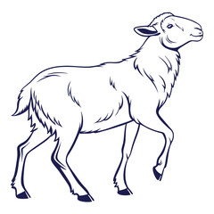 Outline Illustration of a Ram with Curly Horns Walking on a White Background sheep male sheep