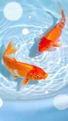 Two koi fish swimming in clear water with light reflections and soft blue hues