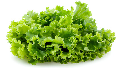 Fresh, vibrant green lettuce leaves ready for healthy salads and meals