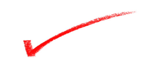 Red Check Mark Brush Stroke Approval Icon Graphic Design Symbol Correct Tick Confirmation on transparent background