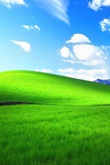Serene landscape featuring a gently sloping hill, lush green grass, and a tranquil, clear blue sky Perfect for themes of calmness, peace, and natural beauty , summer, scenery