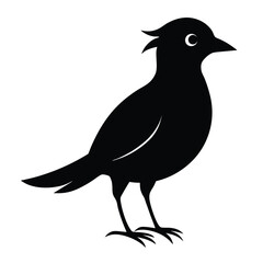 Stylized black silhouette of a crested bird on white background vector illustration