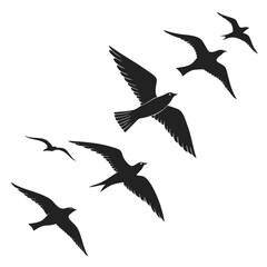 Swallows and Seagulls Silhouettes Flying in Formation on White Background bird