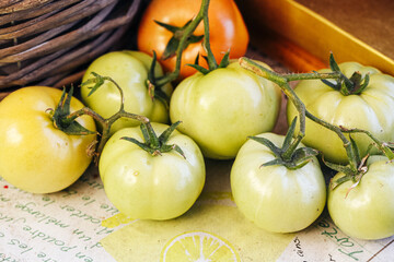 Fresh green tomatoes harvest. Unripe vegetables in basket. Natural organic food detail. Healthy...