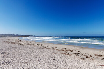 Scenic ocean coast along California 17-Mile Drive on a sunny day