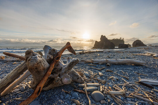 Pacific Ocean coast near Olympic National Park