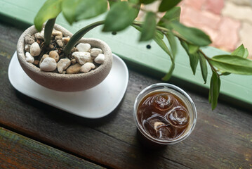 Refreshing Drink and Potted Plant View