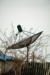 Satellite Dish Surrounded by Overgrown Plants
