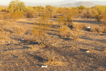 Nature landscape scene ruined and made ugly by litter scattered over the ground and in the vegetation and shrubs in the desert destroying the environment
