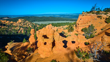 Aerial Red Canyon Hoodoos and Natural Arches with Forests in Utah