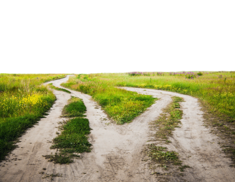 Serene Curving Dirt Paths Through Green Fields